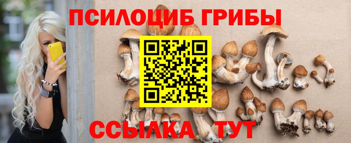 Галлюциногенные грибы Cubensis Октябрьский