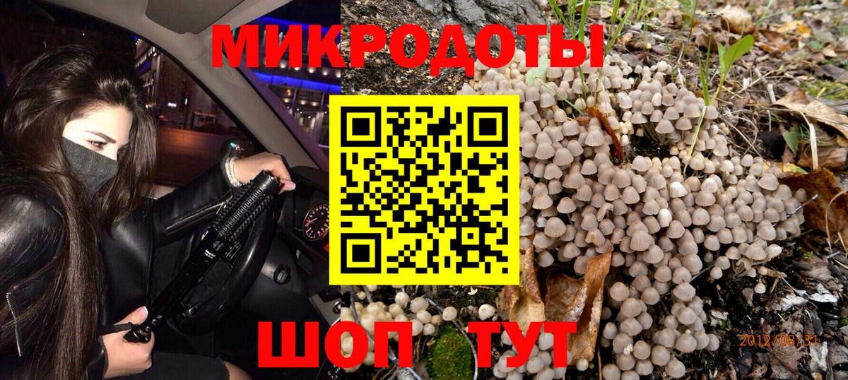 Псилоцибиновые грибы Октябрьский